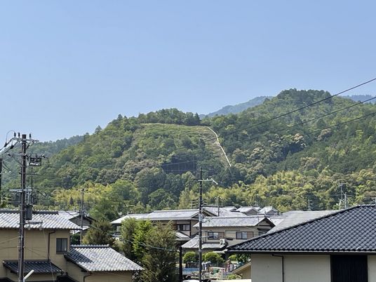 自然に囲まれた外観