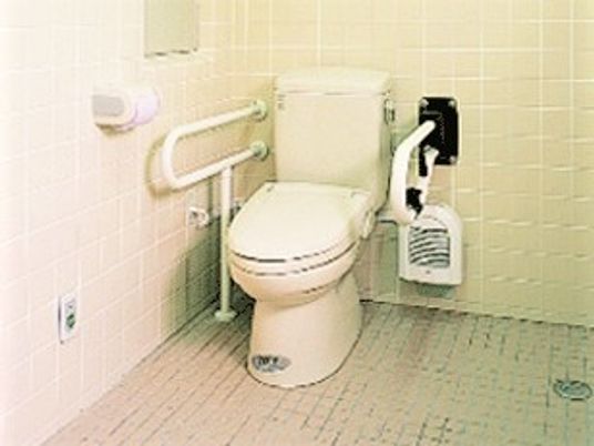 手すり付きの清潔なトイレ