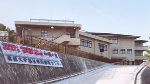 大きな建物と看板