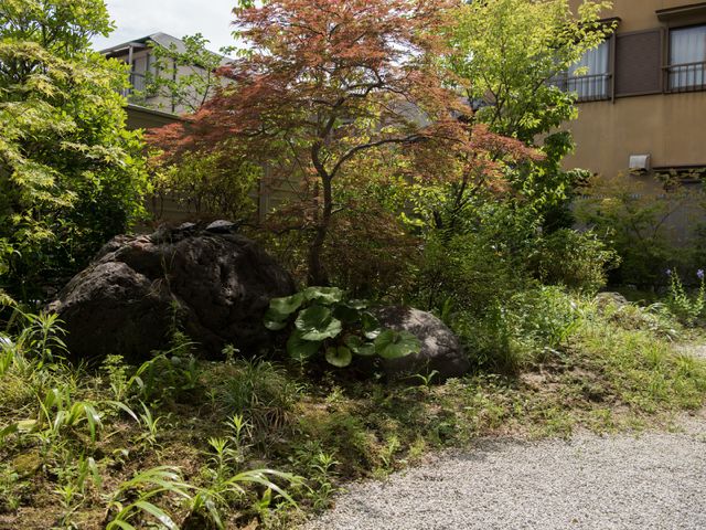 緑豊かな中庭 庭 四季折々の自然を感じられる緑あふれる中庭です。散策や静かな時間を過ごすのに最適な場所が提供されています。