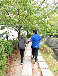 穏やかな散歩道