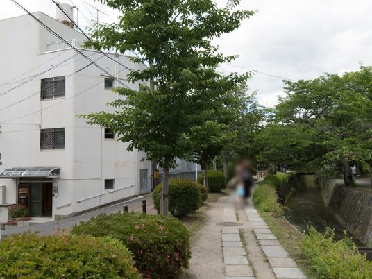 白い建物と緑の外観