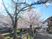 桜の咲く敷地の外観