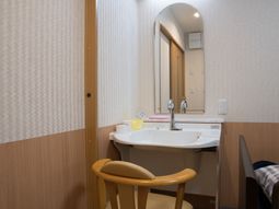 清潔な洗面台とミラー