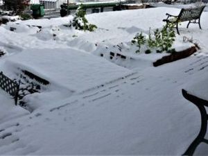 雪に覆われた中庭  