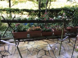 花のある庭  