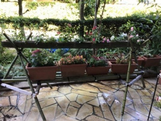 花のある庭  
