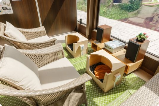 自然光の入る憩いの場