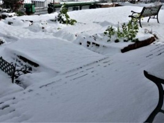 雪の積もる中庭