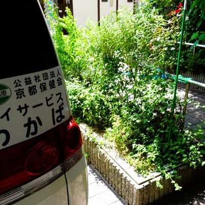 緑豊かな中庭