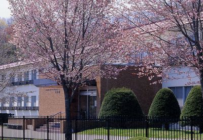 桜が咲く建物の外観