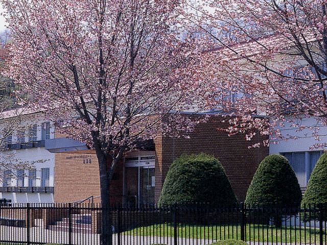 桜が咲く建物の外観 外観 春を感じられる桜が咲く中、魅力的な外観を備えた建物です。新しい生活環境としてご検討ください。