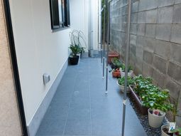 清潔な廊下と植物