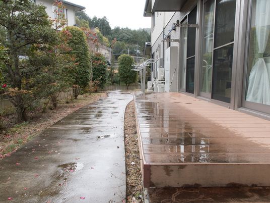 雨後の施設の中庭