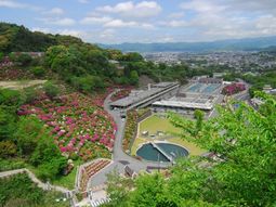 緑豊かな施設外観
