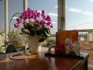 窓辺の飾り棚と花の居室  