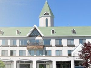 特徴的な屋根の外観