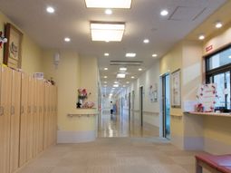 明るく清潔な廊下の様子