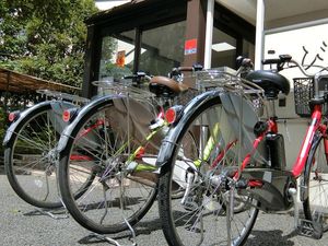 駐輪場の自転車  