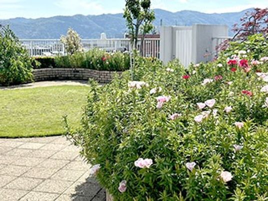 花壇のある中庭  
