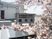 桜と施設看板の外観  