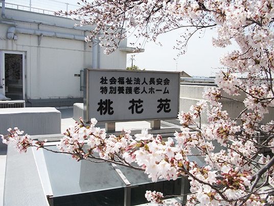 桜と施設看板の外観  