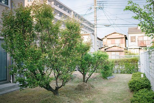 緑豊かな庭