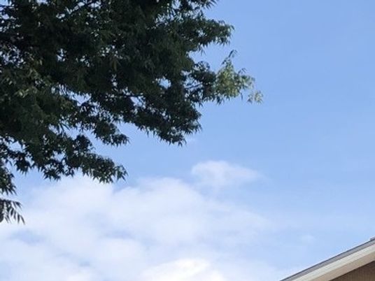空と木が見える外観  