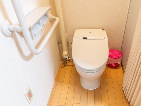 手すり付き清潔なトイレ