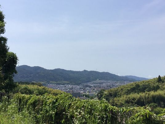 自然に囲まれた環境