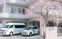 桜の下の車両と建物  