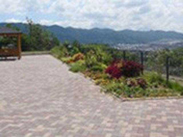 開放感ある庭 庭 四季折々の花が楽しめる開放的な空間です。リラックスしながら自然を堪能できます。