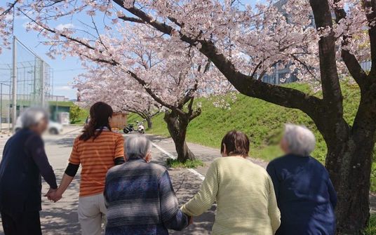 桜が咲く散歩道