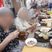 穏やかな食事風景  
