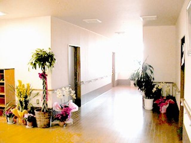明るい廊下 廊下   自然光が差し込む、明るく広々とした廊下です。観葉植物が置かれ、落ち着いた雰囲気で働きやすさを感じられます。