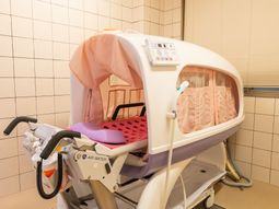 機能的な設備の浴室
