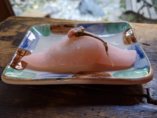 美しい和菓子の皿