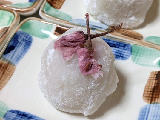 皿の上の和菓子