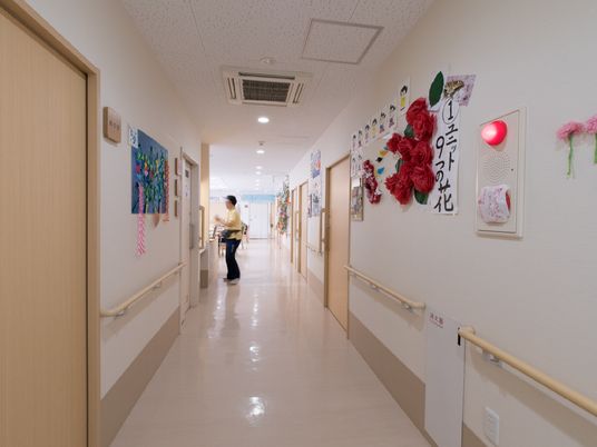 廊下に飾り付けられた壁