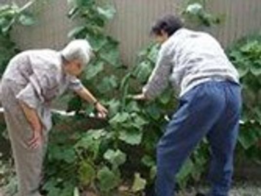 庭の様子