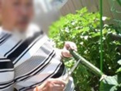 庭で作業する様子