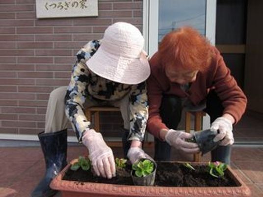 植物の世話をする高齢者二人