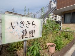 緑に囲まれた看板