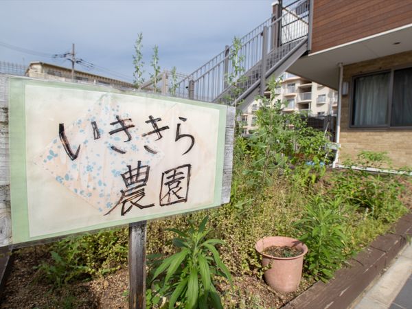 緑に囲まれた看板