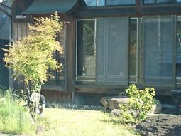木と建物の外観