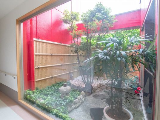 緑豊かな中庭の景色