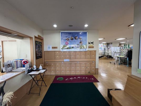 フロント