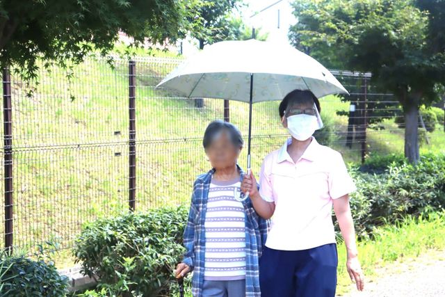 庭の日差しの中