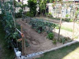 緑豊かな施設の庭