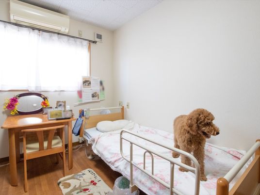 快適な居室の風景